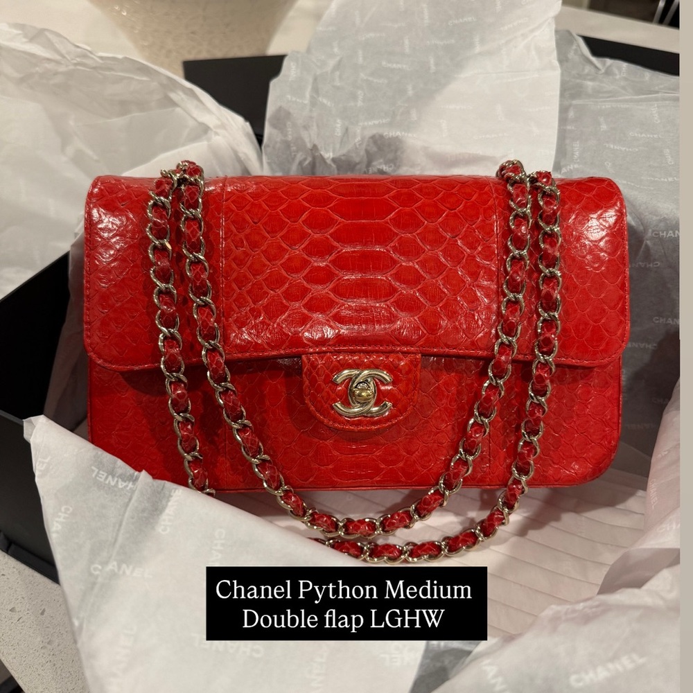 Chanel Medium classic Double Flap Python - Picture 1 of 11